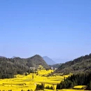 曲靖旅游 缩略图 4