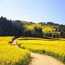 曲靖旅游 缩略图 6