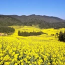 曲靖旅游 缩略图 12