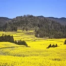 曲靖旅游 缩略图 11