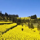 曲靖旅游 缩略图 15