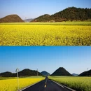 曲靖旅游 缩略图 4