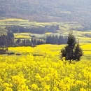 曲靖旅游 缩略图 8