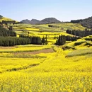 曲靖旅游 缩略图 18