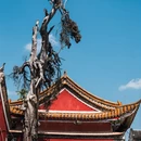 昆明旅游 缩略图 10