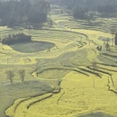 昭通旅游 缩略图 4