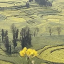 昭通旅游 缩略图 2