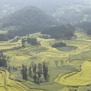 昭通旅游 缩略图 3