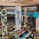 昆明旅游 缩略图 13