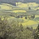 昭通旅游 缩略图 8