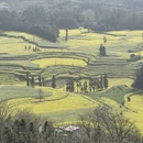 昭通旅游 缩略图 11