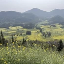 昭通旅游 缩略图 7