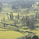 昭通旅游 缩略图 10