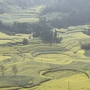 昭通旅游 缩略图 12