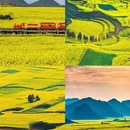 昆明旅游 缩略图 7