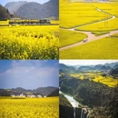 昆明旅游 缩略图 9