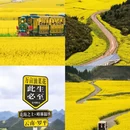 昆明旅游 缩略图 5