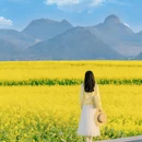 昆明旅游 缩略图 3