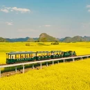 昆明旅游 缩略图 4