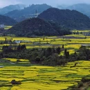 昆明旅游 缩略图 4