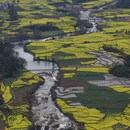 昆明旅游 缩略图 3