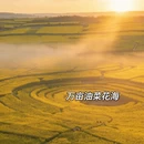 昆明旅游 缩略图 2
