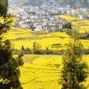 昆明旅游 缩略图 5