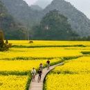 昆明旅游 缩略图 6