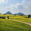 昆明旅游 缩略图 5