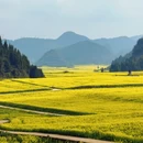 昆明旅游 缩略图 1