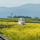 昆明旅游 缩略图 2