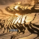 昆明旅游 缩略图 6