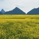 昆明旅游 缩略图 4