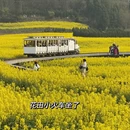 昆明旅游 缩略图 4