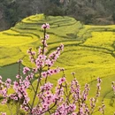 曲靖旅游 缩略图 2