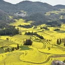 曲靖旅游 缩略图 4