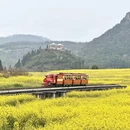 曲靖旅游 缩略图 6