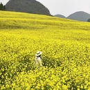 曲靖旅游 缩略图 3