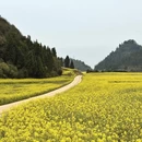 曲靖旅游 缩略图 9