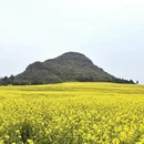 曲靖旅游 缩略图 11