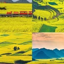 昆明旅游 缩略图 7