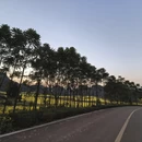 曲靖旅游 缩略图 7