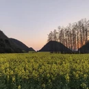曲靖旅游 缩略图 8