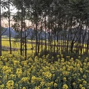 曲靖旅游 缩略图 6