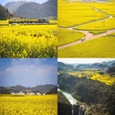 昆明旅游 缩略图 9