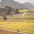 曲靖旅游 缩略图 3
