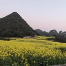 曲靖旅游 缩略图 14
