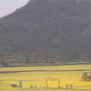 曲靖旅游 缩略图 8