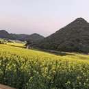 曲靖旅游 缩略图 15
