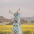曲靖旅游 缩略图 4